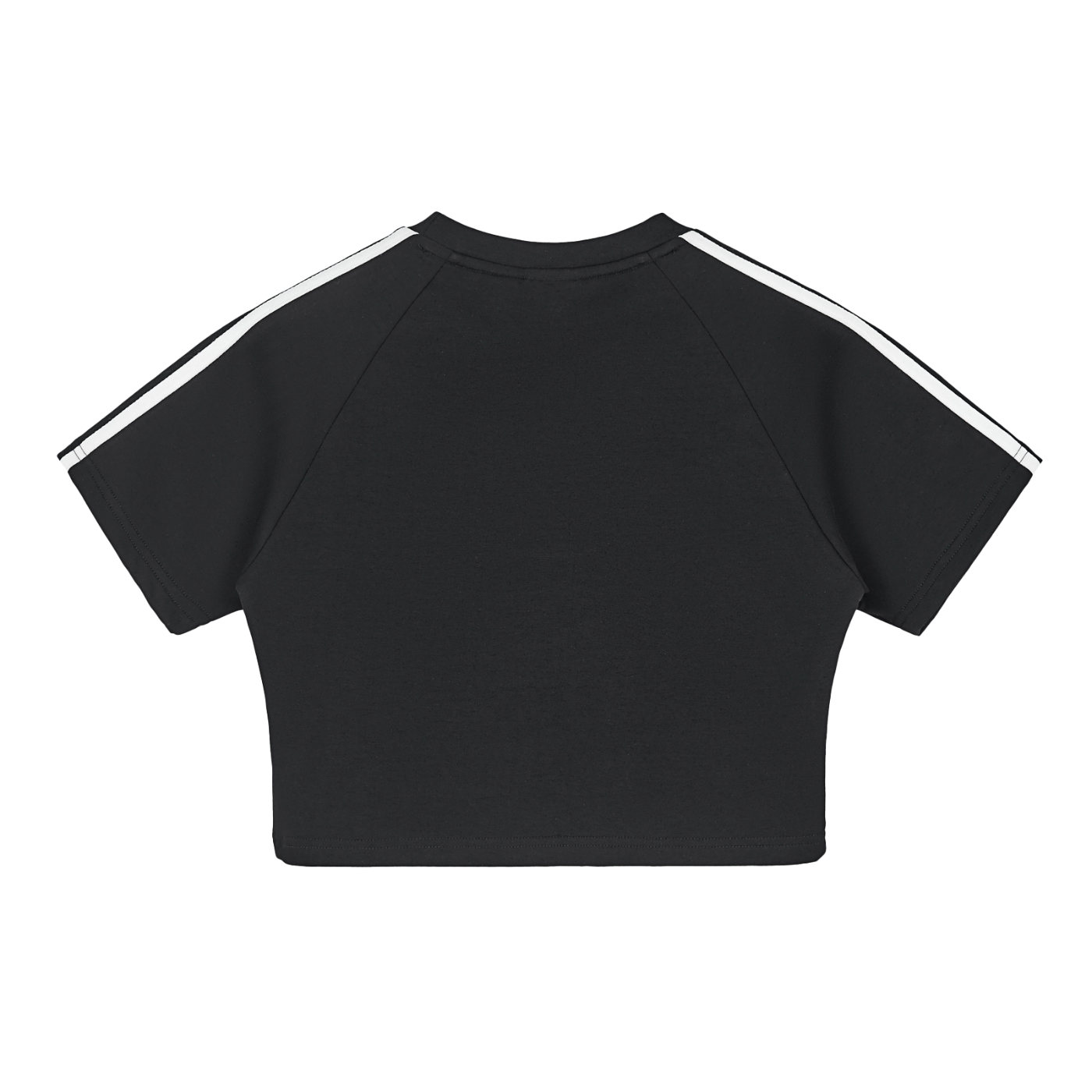 SpiffCrew Crop Top