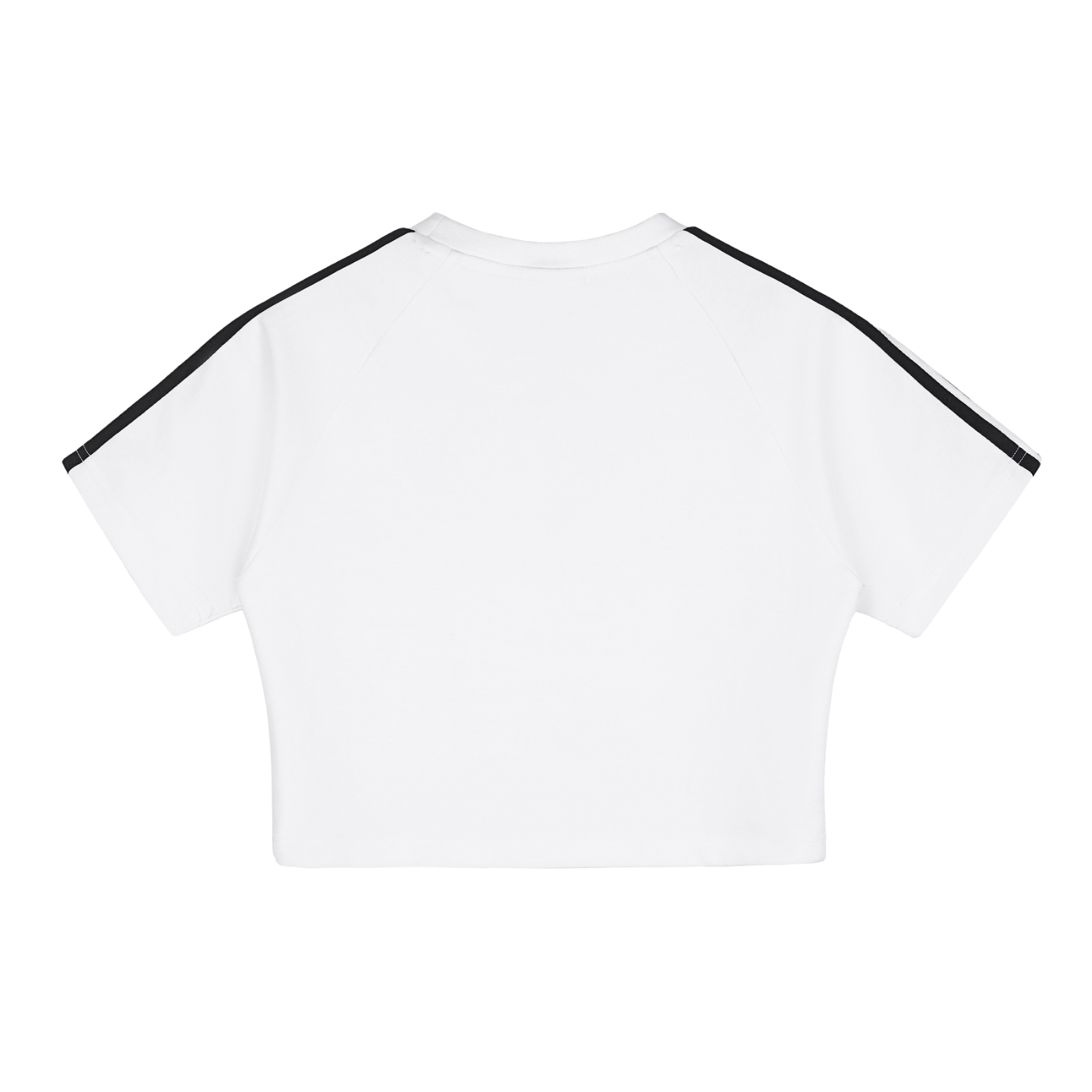 SpiffCrew Crop Top